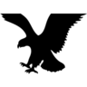Logo American Eagle Outfitters
