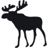 Logo Abercrombie & Fitch