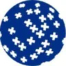 Logo First Advantage Corporation